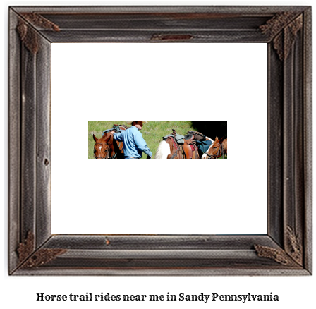 horse trail rides near me in Sandy, Pennsylvania